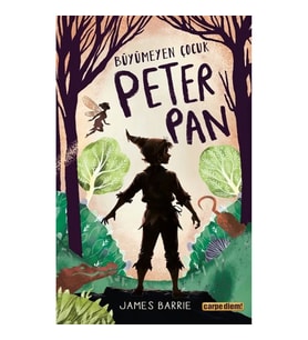 Büyümeyen Çocuk Peter Pan