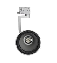 Bahar 304-202-SILVER RAY Spot