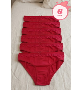 Kadın 6'lı Paket Dantel Detaylı Pamuklu Bikini Külot Esnek İz Yapmaz Yumuşak İç Çamaşırı