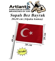 Sopalı Bez Bayrak 20x30 Cm 10 Adet Saplı Bayrak Ay Yıldız Plastik Çıtalı 20*30 Bez Bayrak Mill Bayram Kutlama (Kırmızı-Beyaz)
