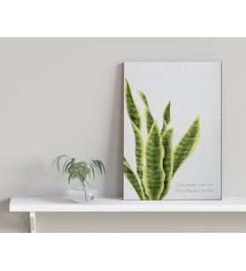 BK Home Green Plant Tasarımlı Kanvas Tablo-2