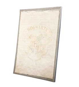 A4 Notepad Harry Potter Lisanslı Özel Tasarım  (Karışık)