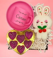 Pembe Fincan Ve Tavşancık Hediye Seti