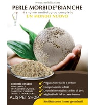 Ornitalia Perle Morbide Kuş Maması Nemlendiricisi Bianco 1 Kg (Bölünmüş)
