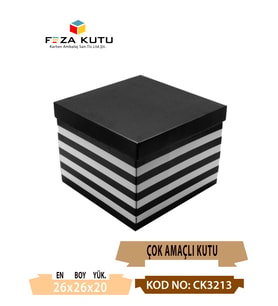 26x26x20 Çok Amaçlı Kutu Karton Kutu Pasta Kutusu (10 Adet)