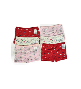 6 Adet Kız Çocuk Desenli Penye Boxer 403