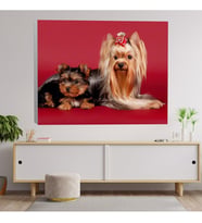 Evcil Köpek Kanvas Tablo