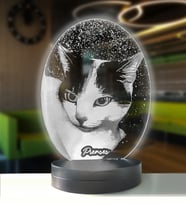 Kedilere Özel Oval Resimli Kişisel 3d Led Gece Lambası (2005667)