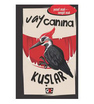 Vay Canına Kuşlar - Yusuf Asal - Nesil Yayınları