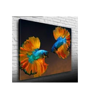 Beta Balıkları Canvas Tablo (50x70)
