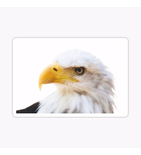 Araba için Kartal Oto Sticker Yapıştırması Etiket  17CM r1
