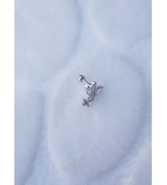Tragus Küpe Piercing Çelik