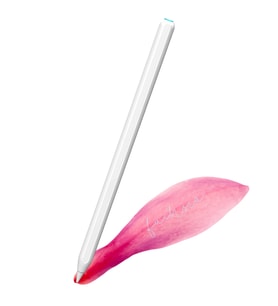 iPad Mini 6 Kablosuz Şarj Olan Avuçiçi Eğim Özellikli (2. Nesil) Kalem (Beyaz)