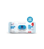 SUBO YÜZEY TEMİZLİK HAVLUSU 100 'LÜ  SABUN FERAHLIĞI 12X100