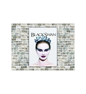 Black Swan Ahşap Tablo
