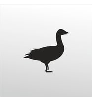 Folyo Sticker Ördek 20cm uzunluk (Karışık)