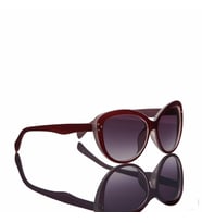 Xoomvision P124491 Kadın Güneş Gözlüğü