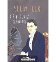 Kırık Deniz Kabukları