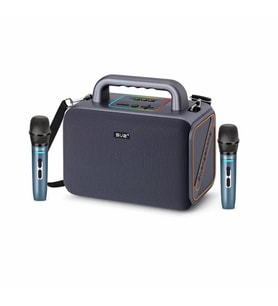 Rose HP-606 Outdoor Usb Media player