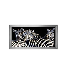 Zebralar Motifli Kanvas Tablo 50 x 70 cm Silver Çerçeve