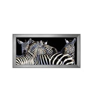 Zebralar Motifli Kanvas Tablo 50 x 70 cm Silver Çerçeve