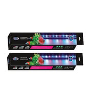 Akvaryum 30 Cm Aqua Master Led Lamba( Pembe - Beyaz ) 3 W