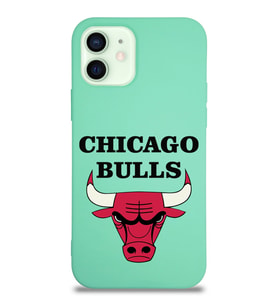 Apple iPhone 12 Mini  Lansman Kılıf Chicago Bulls Tasarımlı Altı Kapalı İçi Kadife Kaplı  Kapak (Şeffaf)