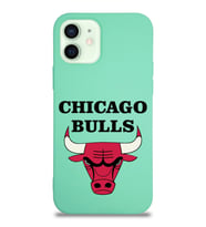 Apple iPhone 12 Mini  Lansman Kılıf Chicago Bulls Tasarımlı Altı Kapalı İçi Kadife Kaplı  Kapak (Şeffaf)