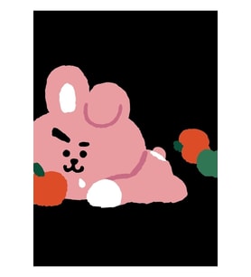 Cooky Bt21 Tablo Ahşap Poster Dekoratif Kod4776