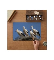 Leylek Ailesi Tasarımı 240 parça Ahşap Puzzle Ahşap Kutuda MP00931