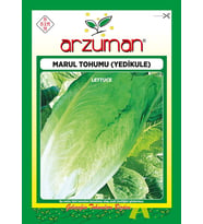 Yedikule Marul Tohumu 10 Gr
