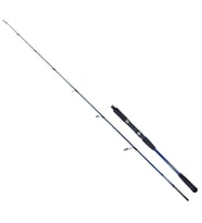Ryuji Strobe II 168cm 80-170gr Jig Olta Kamışı