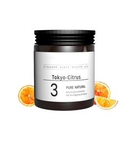 Ally Meyve Aromalı Araç Hava Kokusu Ferah Oto Araç Kokusu-(5775) - SSSSSS9183-8674