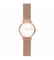 Skagen SKW2694 Kadın Kol Saati