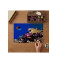 Renkli Balıklar - Troopikal Balıklar Tasarımı 240 parça Ahşap Puzzle Ahşap Kutuda MP01043