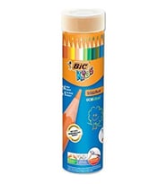 Bic Kuruboya 24+1 Metal Kuruboya (Karışık)