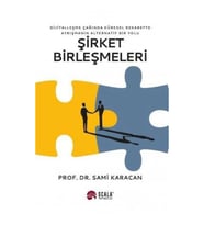 Şirket Birleşmeleri