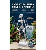 Alse Dans Eden Akvaryum İskeleti 2'li Set - Akvaryumunuzda ikili Eğlence!(Beyaz=