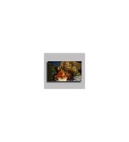 DBSanatevi Aile Tablo 40 X 30 Cm