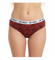 Kadın Beli Beyaz Lastikli Leopar Desen Slip Külot BB2188