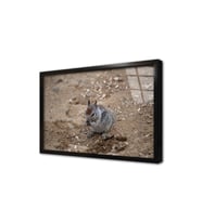 Sincap Çerçeveli Cam Tablo
