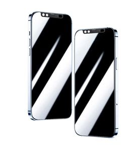 Apple iPhone 12 Pro Uyumlu Zore Secret Temperli Cam Ekran Koruyucu (Siyah)