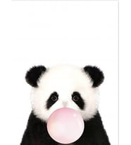 Sakız Çiğneyen Panda Sayılarla Boyama Seti(40x50 cm Tuval Şasesine Gerili)