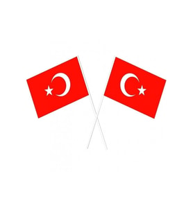 Sopalı Türk Bayrağı 100 Lü