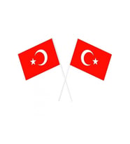 Sopalı Türk Bayrağı 100 Lü