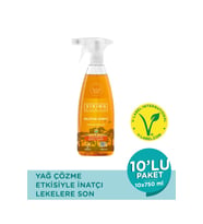 Viking Premium Mutfak Spreyi Turunç Bahçesi 750 ml 10 Adet