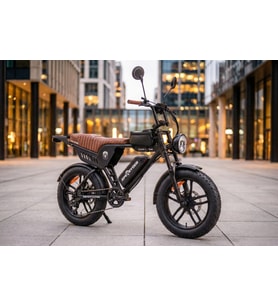APE RYDER GENON ULTRA 750W ELEKTRİKLİ BİSİKLET AYNA ÇANTA VE EL GAZI HEDİYELİ (Siyah)