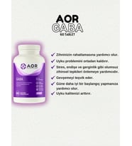 Aor Gaba 60 TABLET