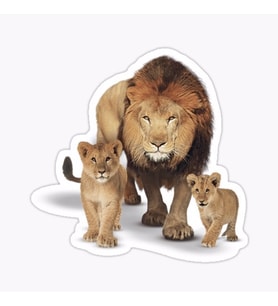 Aslan Ailesi Araba Oto Sticker Yapıştırma Etiket 17CM q9