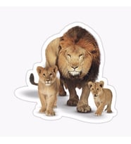 Aslan Ailesi Araba Oto Sticker Yapıştırma Etiket 17CM q9